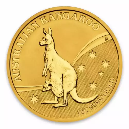 2009 1oz Bullion Nugget / Kangaroo Coin (3)