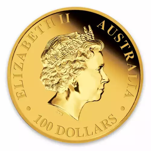2013 1oz Bullion Nugget / Kangaroo Coin (4)