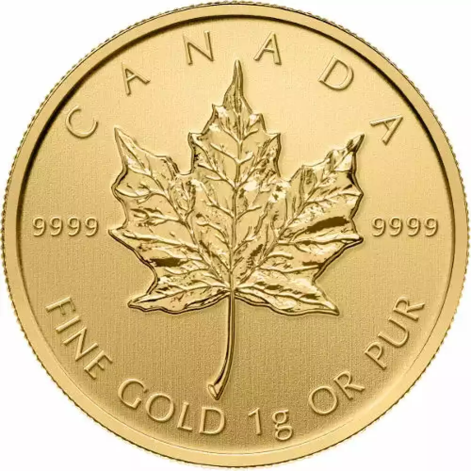 2015 25 Gram Canadian Gold MapleGram (25x1g, BU w/ Assay) - Stout Gold ...