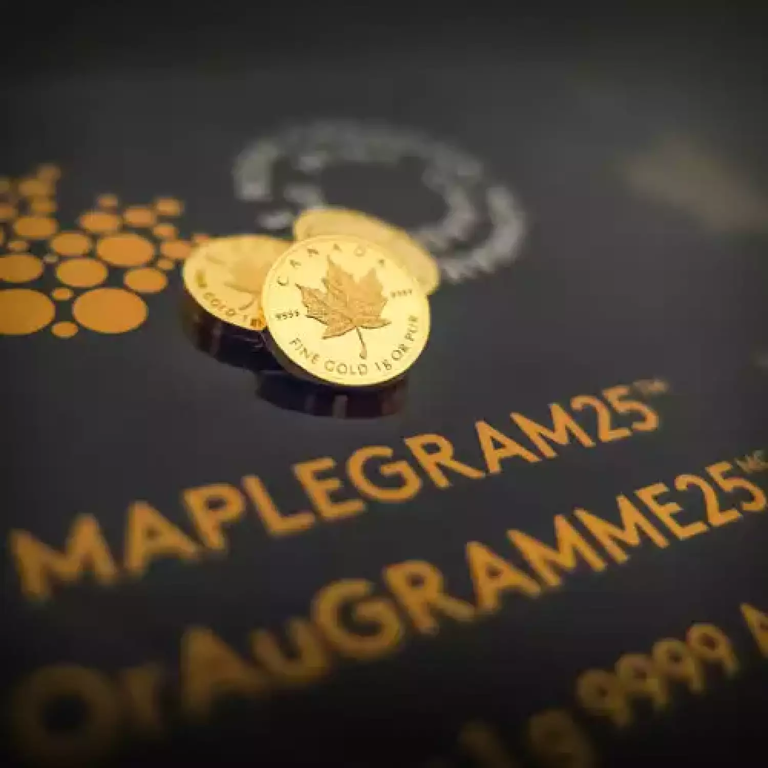 2015 25 Gram Canadian Gold MapleGram (25x1g, BU w/ Assay) (4)