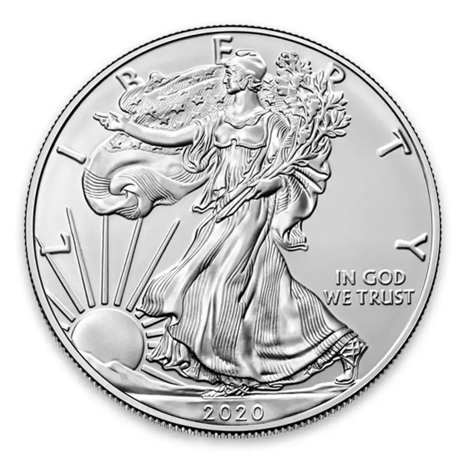 2020 1oz American Silver Eagle