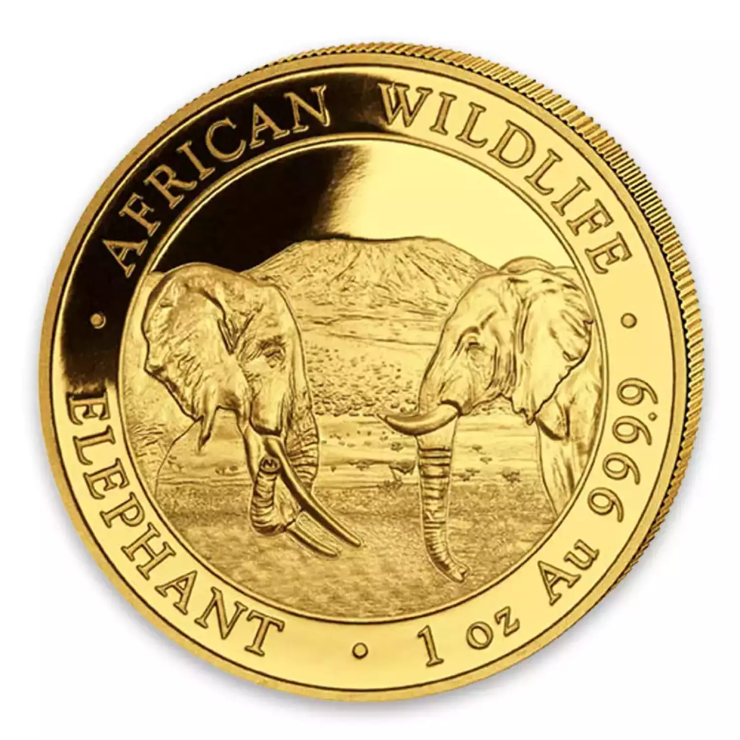 2020 1oz Somalia Gold Elephant Coin (2)