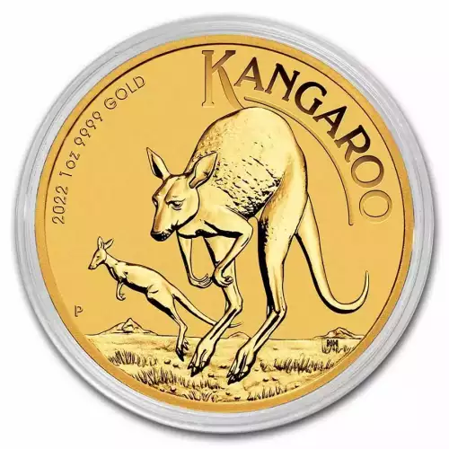 2022 1 oz Australian Gold Kangaroo Coin (6)
