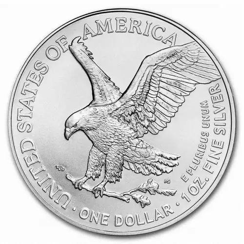 2023 1oz American Silver Eagle (2)