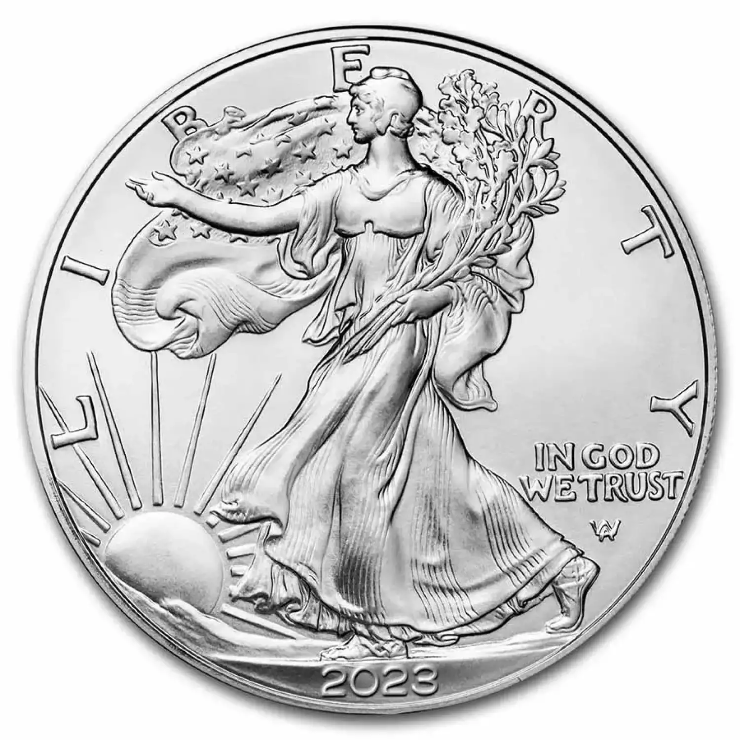 2023 1oz American Silver Eagle (3)