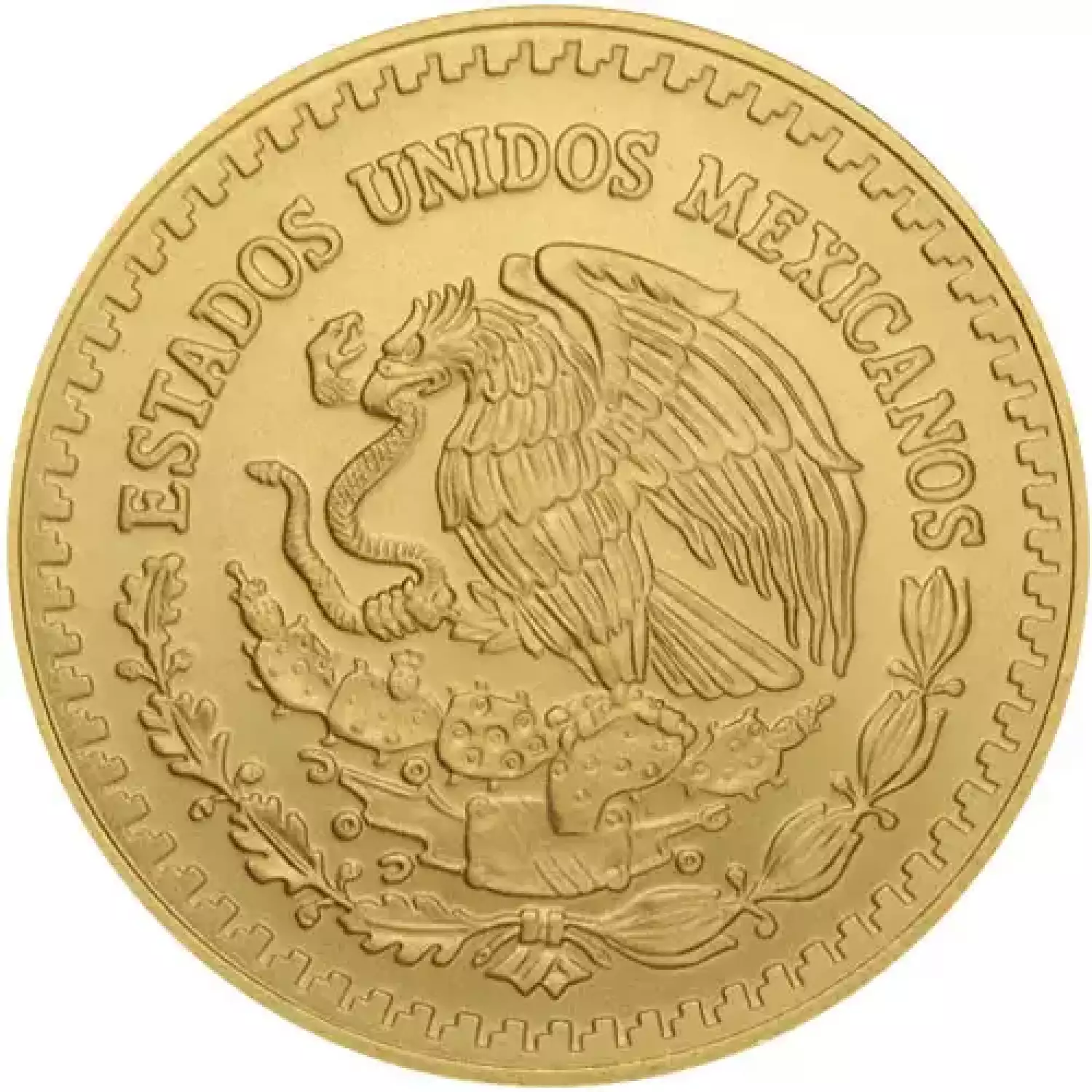 Any Year 1/2 oz Mexican Gold Libertad Coin (2)