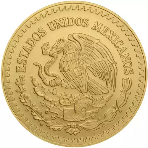 Any Year 1/2 oz Mexican Gold Libertad Coin (2)