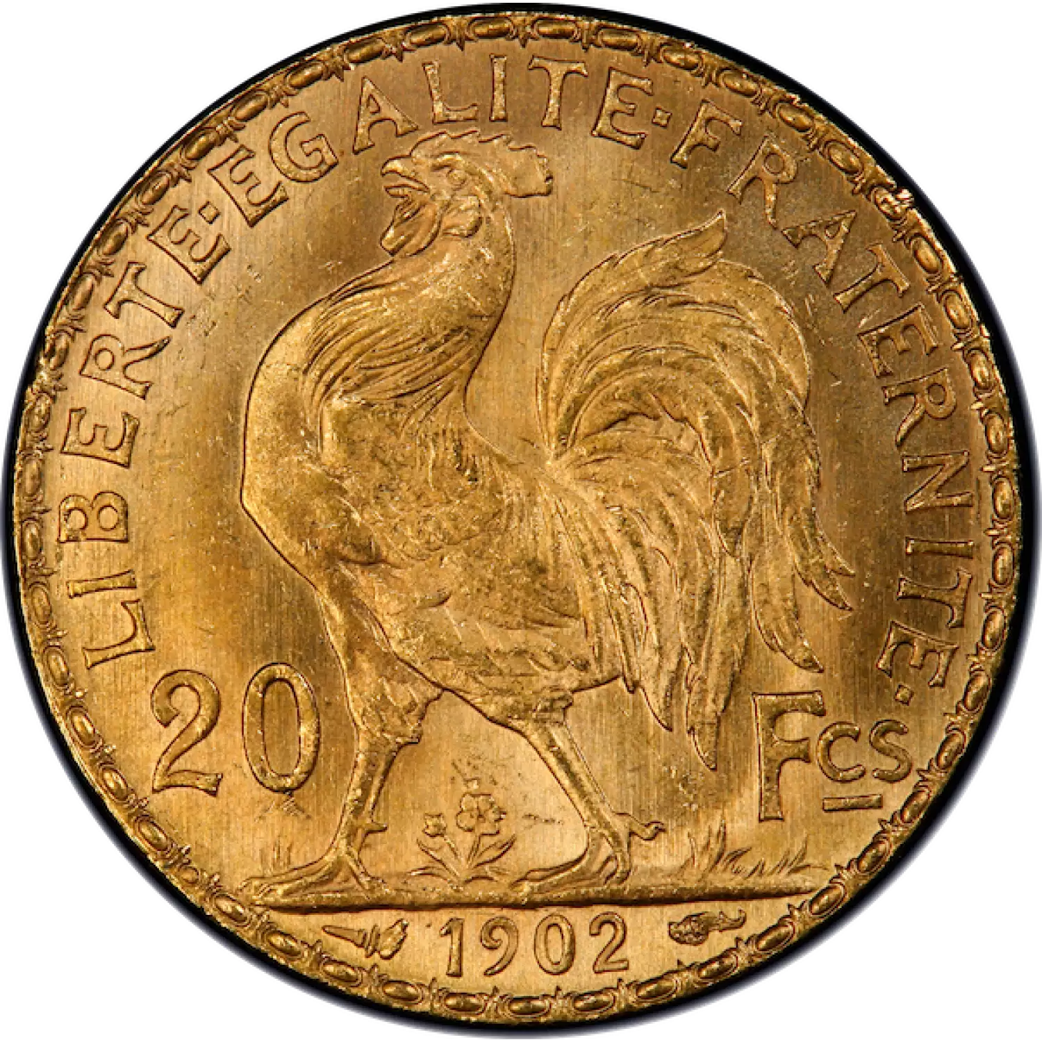 Any Year Gold French 20 Franc (6)