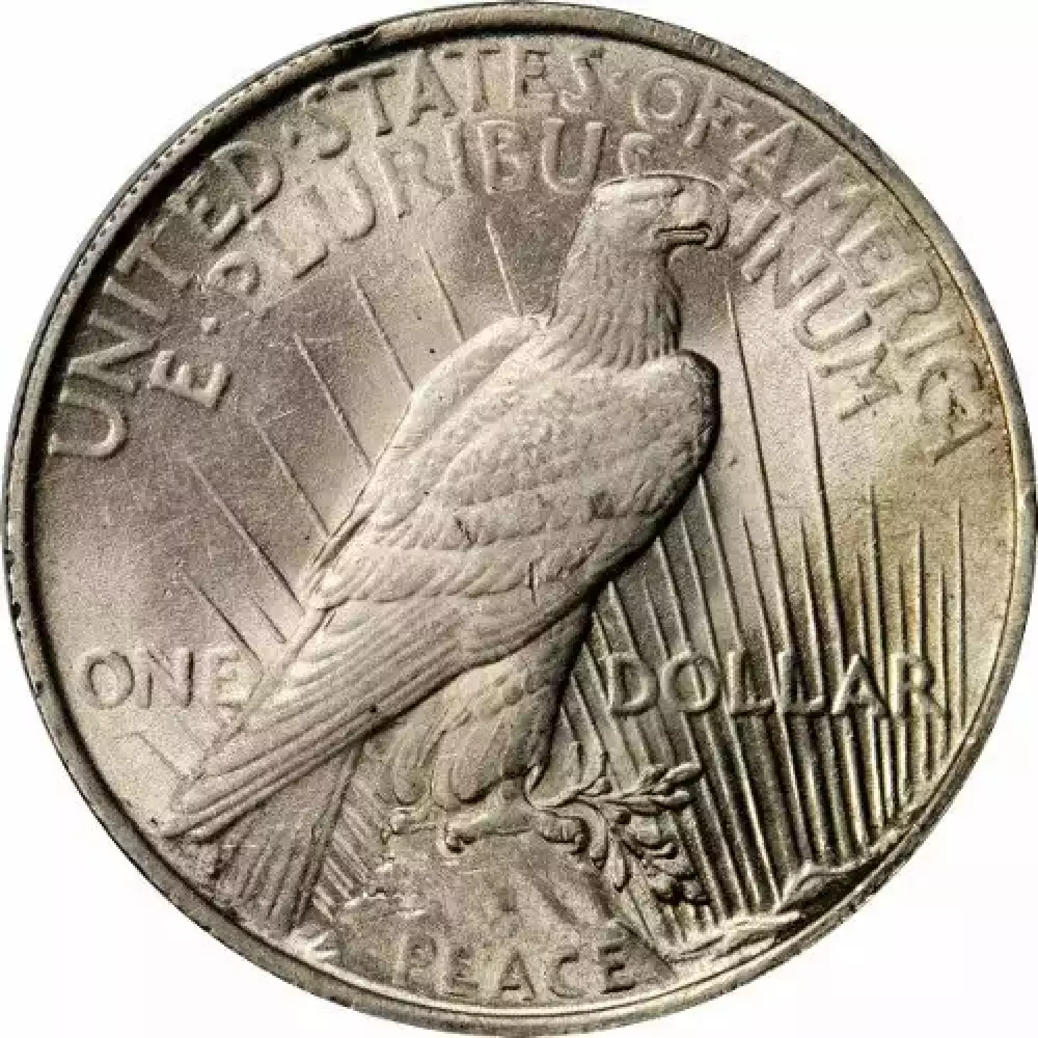 Peace Silver Dollars - Any Year (Circulated) (2)